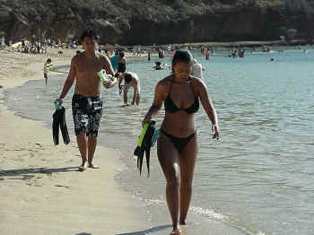 LLPInC̏̎qW`6`